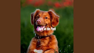 Alluring Calming Doggy Time