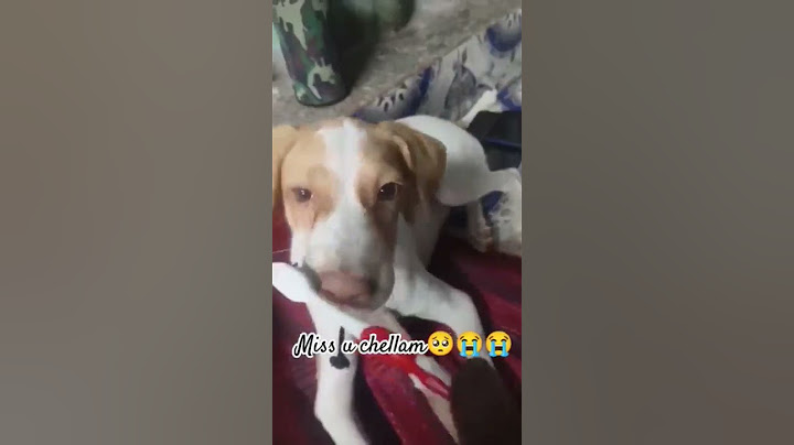 miss you da jacky 😭😭unna vittu irukka mudiyathu chellam love u da😭😭😭😭🥺🥺