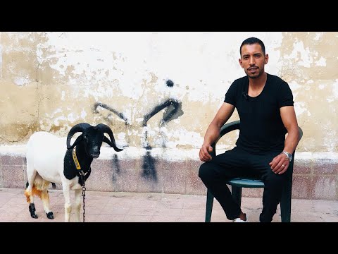 ولد الميني عجاج مفجأة البطولة 