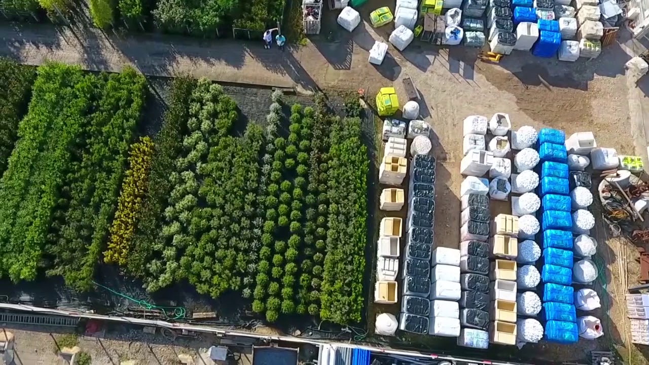 Pépinière Sainte Marguerite à Grasse YouTube