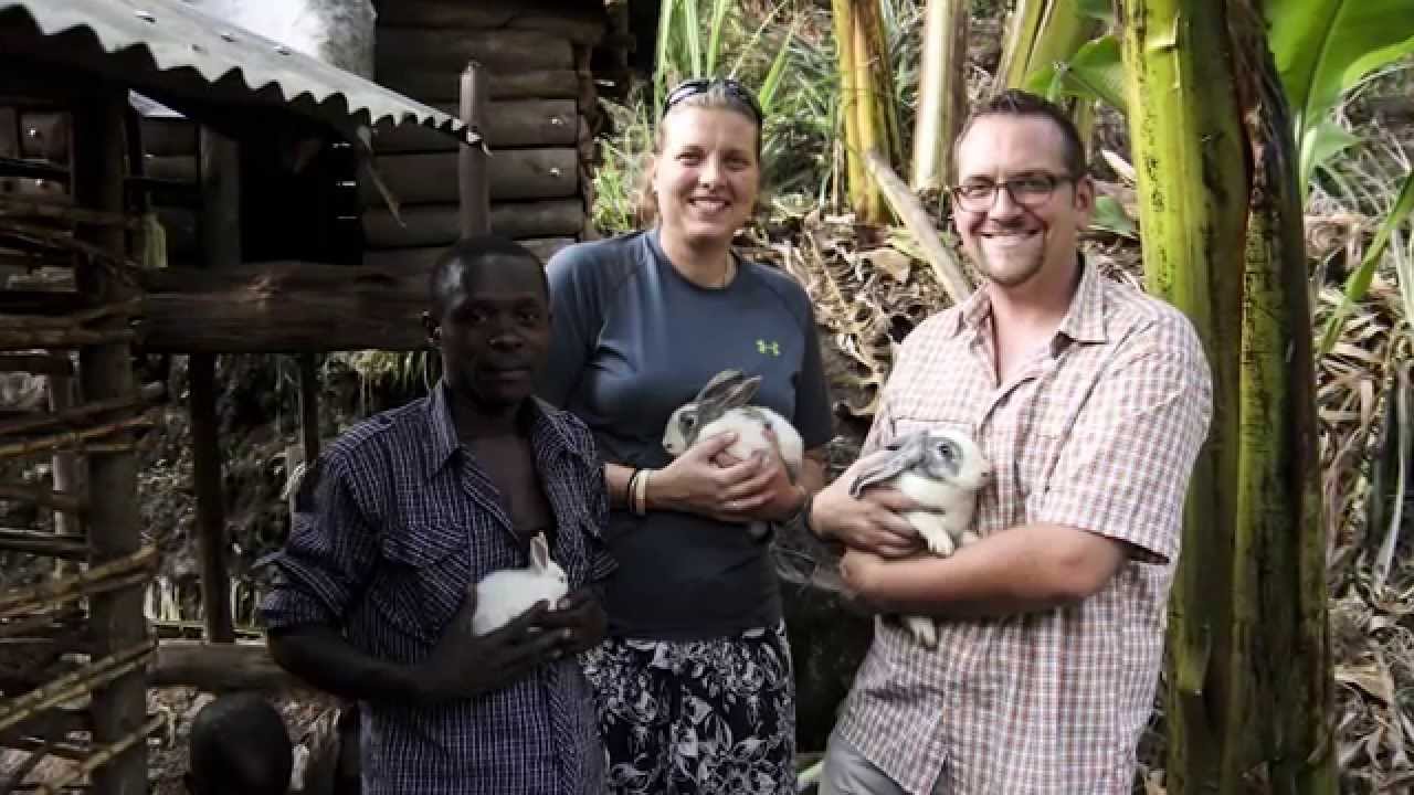 Animal Impact Gift Guide