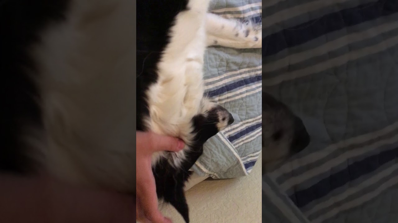 She always needs her cuddles YouTube She always needs her cuddles YouTube
