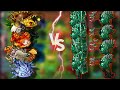 Football Drown Miniboss VS. Ultimate Plants | PVZ fusion