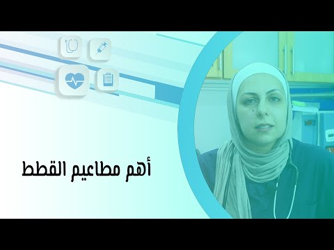 فيديو: ما التطعيمات التي يحتاجها القط؟