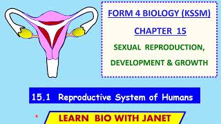 (15.1)  Reproductive Systems of Humans (SPM Biology Form 4) #spm #igcse #olevel #spm screenshot 3