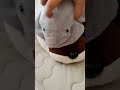 かわうそとえい