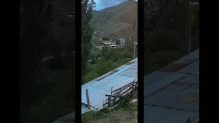 Muhtar Ağzina Geleni̇ Söyledi̇ Şfetedüş In