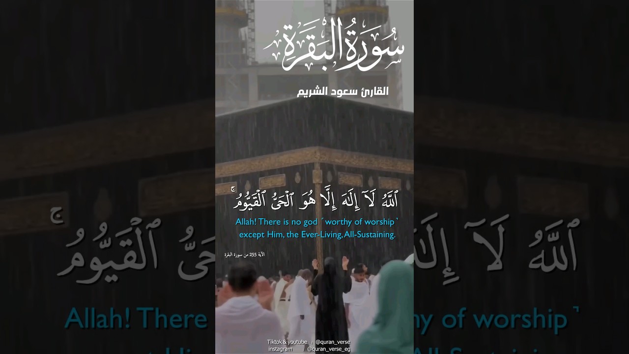 آية الكرسي المانعة من كل شيطان رجيم .. الشيخ أ.د #سعود_الشريم #سورة_البقرة