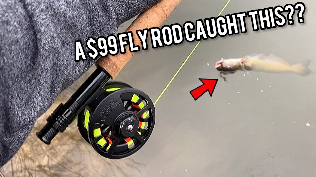 Wild Water Fly Fishing Combo Review YouTube