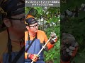 オレゴンジェットフィット2本出し テラマックス2.7mmで草刈りしてみました