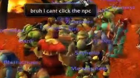 The Everlook Launch Experience