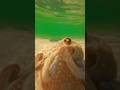 Marolation!!!! #surf #riodejaneiro #brasil