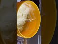 27 أفريل 2025 27 أفريل 2025
