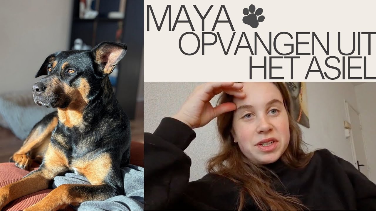 MAYA OPHALEN & OPVANGEN UIT HET ASIEL