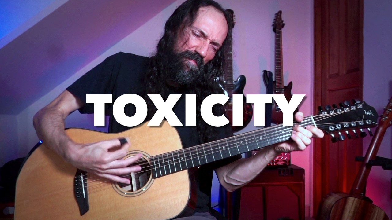 Toxicity was meant to be played on a 12-string 
