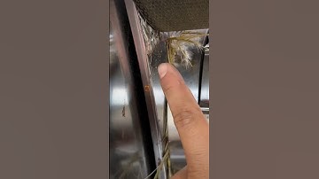 🛑 STOP‼️Save your round baler from catastrophic failure. #shorts