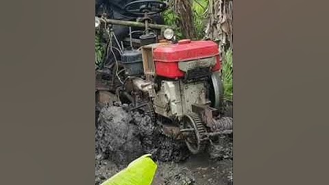 #shorts xe công nông cầu chở chuối gặp bùn lầy lội #shortvideo #kiu_81