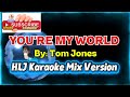 YOU'RE MY WORLD By: Tom Jones ( HLJ Karaoke Mix Version)