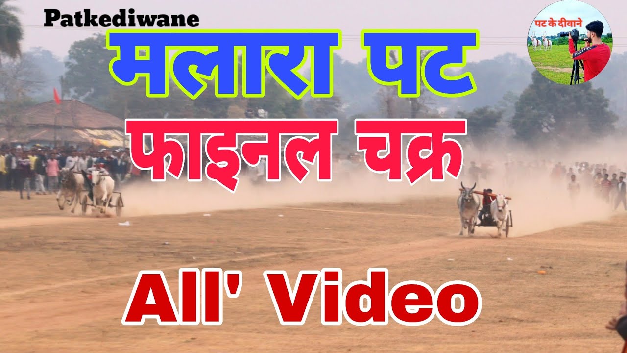 मलारा पट फाइनल राउंड All' Video #viral #ox #race #viralvideo #bull 