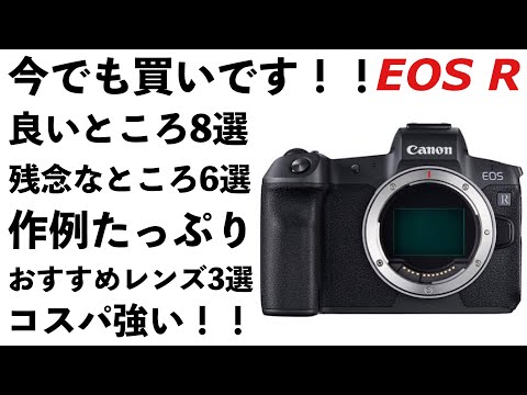 1600まで見える！Canon EOSRシリーズをお持ちの方におすすめ！初心者可 1600まで見える！Canon EOSRシリーズをお持ちの方におすすめ