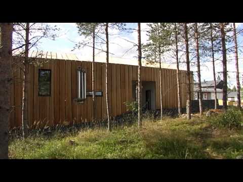 Video: Lehise Käsn - Agaricuse Lehise Käsna, Lehise Käsna Kasulikud Omadused Ja Kasutamine Kaalulangetamiseks