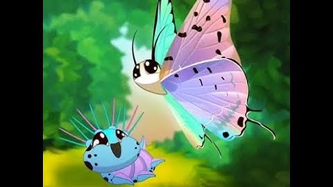 Flutter: Butterfly Sanctuary #android