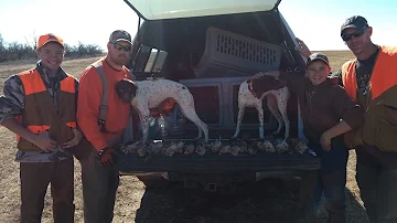 Oklahoma Quail Hunt 2017