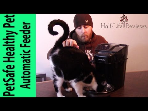petsafe-healthy-pet-simply-feed-automatic-feeder-review