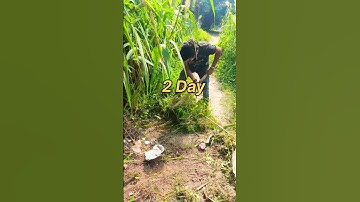 part 2 छठ घाट की सफाई#shorts #chathpuja #shortsviral #trending #viral #ytshorts #shortvideo
