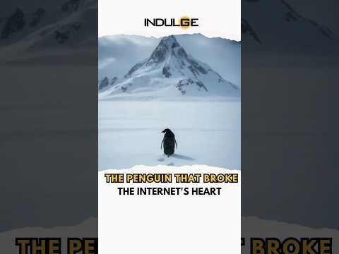 لماذا انسحب البطريق الذي انتشر كالنار في الهشيم قصص قصيرة 