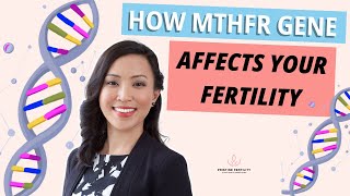 How the MTHFR Gene Affects Fertility: Folate Metabolism & IVF Success