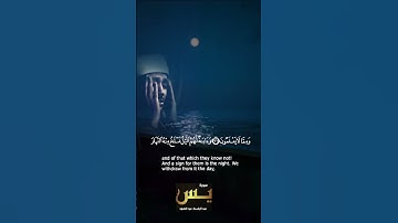 الشيخ عبد الباسط عبد الصمد من روائع سورة يس #راحة_نفسية #trending #مصر #تلاوة_خاشعة  #fyp #قران_كريم