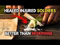 Cured People for 2,000 Years, Wiped Out in a Decade - The Painkiller They Don’t Want You to Grow.