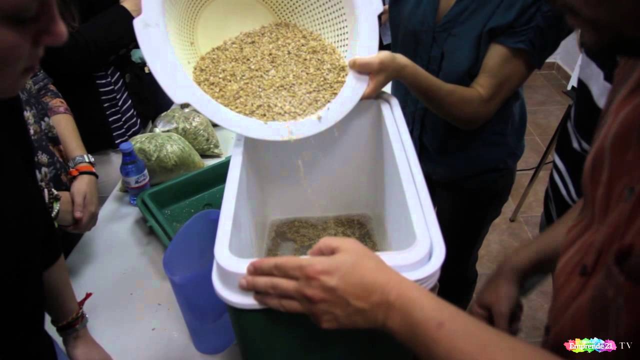 Taller de cerveza artesana 