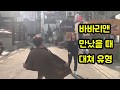 길가다가 바바리맨을 만났다면 이렇게 하세요 마지막 개꿀 길가다가 바바리맨을 만났다면 이렇게 하세요 마지막 개꿀