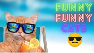 2 HOUR BEST FUNNY CATS COMPILATION 2023 | The Best Funny And Cute Cat Videos 11!