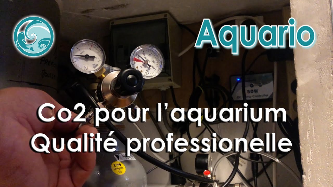 Le Co2 pour aquarium - qualité professionelle