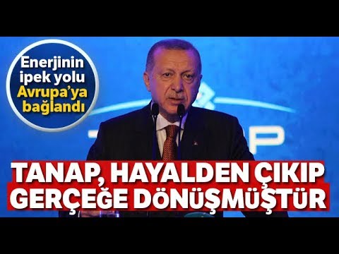 Cumhurbaşkanı Erdoğan: TANAP, Hayalden Çıkıp, Gerçeğe Dönüşmüştür