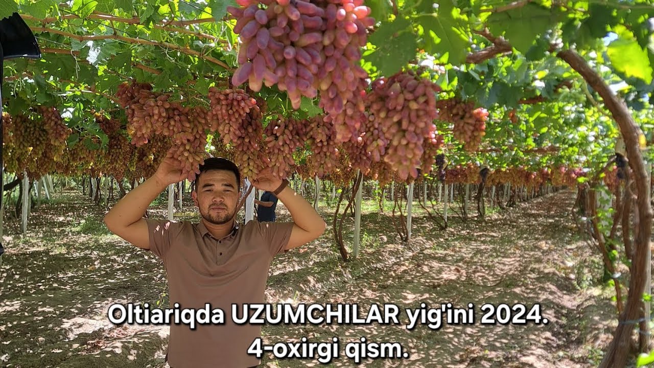 Oltiariqda uzumchi bog'bonlar yig'ilishi va ekskursiya 2024. 4-qism