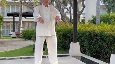 Yang Style Tai Chi - Grasp Birds Tail sequence.