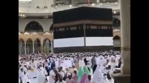 القارئ ياسر الدوسري  | ارح سمعك.. تلاوة هادئة تريح القلب والعقل💙🎧