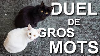 DUEL DE GROS MOTS -  PAROLE DE CHAT