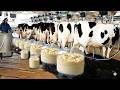 Inside a Giant Dairy Farm: $500 Shocking Truth Behind Milk Production
