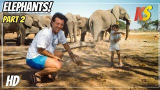 kratts'creatures - Elephants 2: Wild Elephants Couldn't Drag Me Away - Full episode - #krattsseries