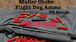 28 Gauge Benelli SBE3 Pattern test. Muller Decoy Choke and Flight Day ammo. Deadly combo! 