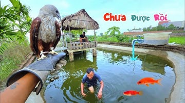 Đang làm Bể Lọc Lại Gặp Lỗi Phát Sinh Và Một Ngày Đi Tim Mua Bàn Ghế Cho Nhà Tranh / Quế Nghịch