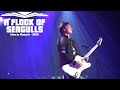 A Flock Of Seagulls - I Ran (So Far Away) - Live in Ontario 2019 Video HD