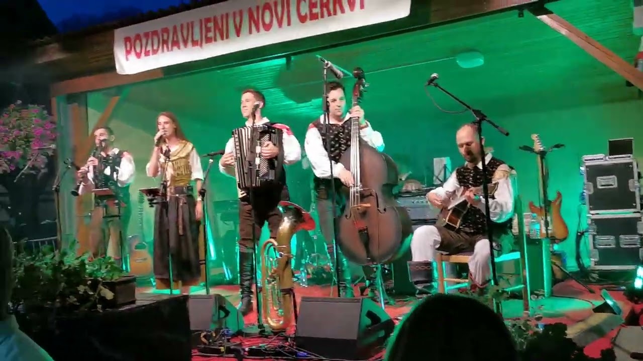 Ansambel Saša Avsenika - V gozdni samoti