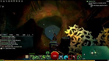 [Guild Wars 2] Bloodtide Coast, Castavall Waypoint, Skill Point.