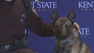 Kent State's Newest Officer: Dexter, the Explosive-Detection Dog